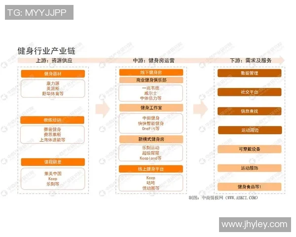 体育用品健身器材价格分析及市场趋势探讨助您选购更划算的健身设备