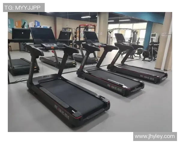 室内体育健身器材价格全面解析及选购指南助您打造理想健身环境